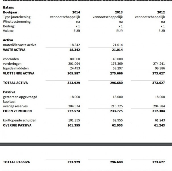 Shock Media Balans 2014