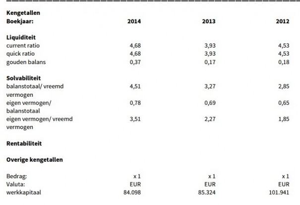Xel Holding Ratios 2014